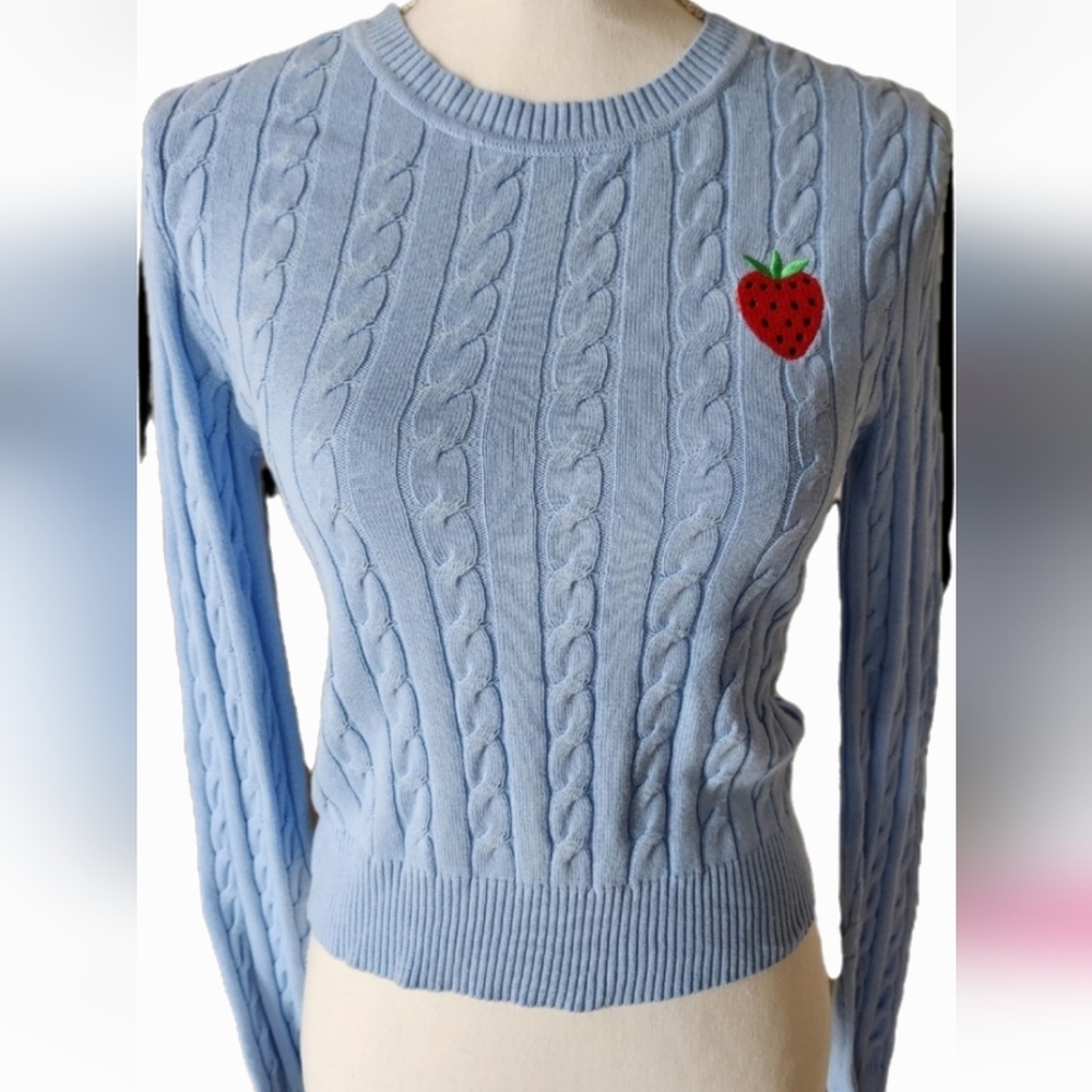 NWOT ❗️ social *scene blue sweater with red strawberry accent small size knit